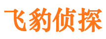 狮子山市私家侦探